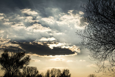 Low angle view of silhouette trees against sky during sunset