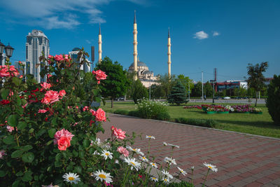 Flowering plants and trees by building against sky