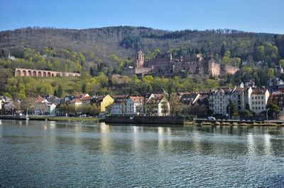 Der frühlingsblick des heidelberg schloss aus der alten brücke.