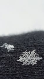 Scenic view of snow covered landscape