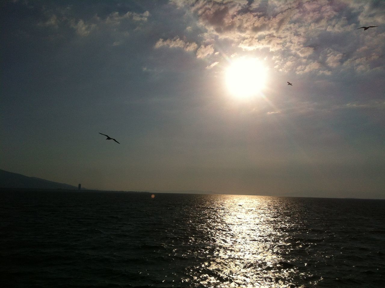 sea, water, horizon over water, scenics, tranquil scene, tranquility, waterfront, sky, sun, beauty in nature, nature, flying, bird, sunset, idyllic, silhouette, reflection, seascape, cloud - sky, rippled