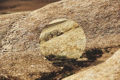 Close-up of rocks