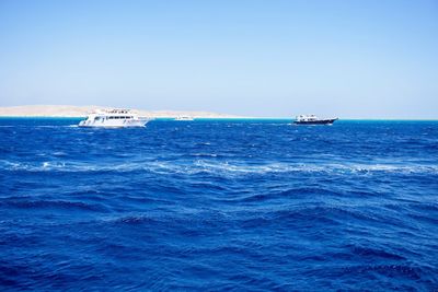 Sailboat sailing in sea against clear sky