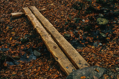 High angle view of dry leaves on wood