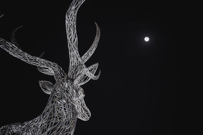 Close-up of illuminated christmas lights