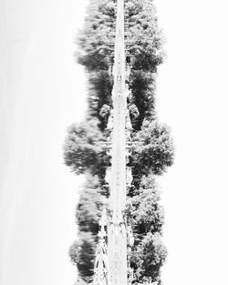 Scenic view of lake with trees in background