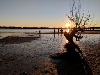 Silhouette people on beach against sky during sunset