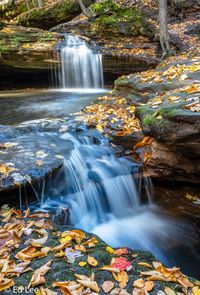 View of waterfall in forest