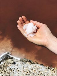 Close-up of hand holding salt outdoors