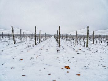 Scenic view of snow covered landscape against sky