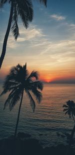 Silhouette palm tree by sea against sky at sunset