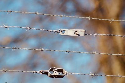 Close-up of barbed wire