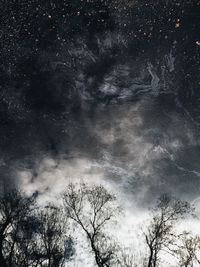 Low angle view of trees against sky at night