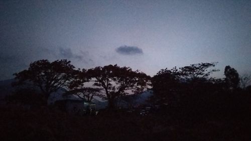 Low angle view of silhouette trees against sky at night