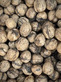 Full frame shot of walnuts for sale at market 
