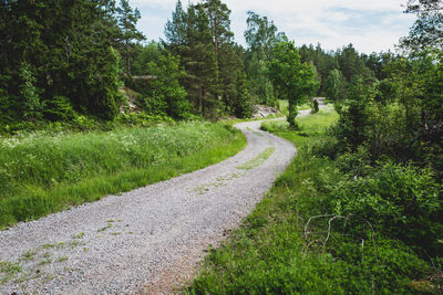 Scenic view of winding country road