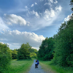 Rear view of people walking on road amidst trees against big blue sky