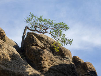 Low angle view of rocks against sky