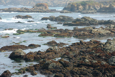 Scenic view of sea shore against sky