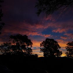 Silhouette of trees against cloudy sky