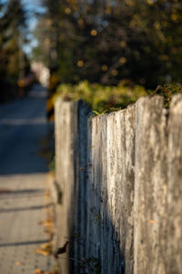 Close-up of wooden fence by footpath