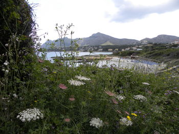 Scenic view of mountains against sky