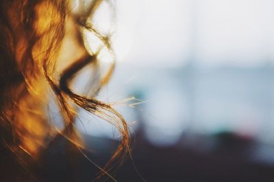 Close-up of woman hair against sky