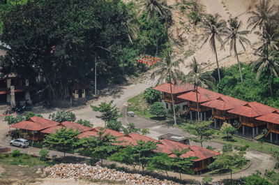 High angle view of palm trees and buildings in city