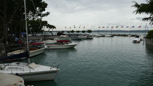 Boats moored in harbor