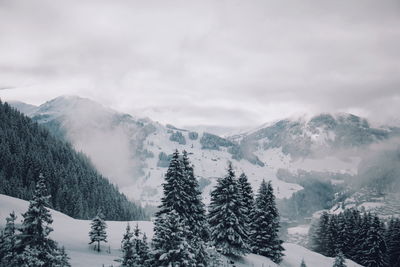 Scenic view of trees on snow covered mountains against cloudy sky