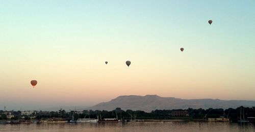 Hot air balloons flying in sky at sunset