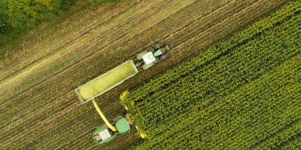 Agricultural machinery tractor and chopper during the corn harvest