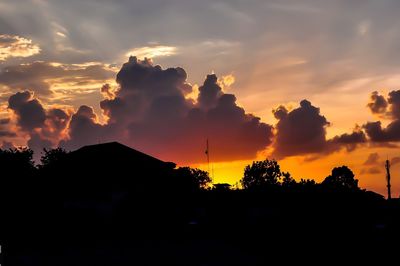 Silhouette of trees against dramatic sky
