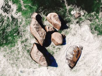 High angle view of shoes on rock in sea