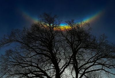 Low angle view of silhouette bare tree against sky