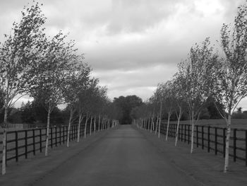 Road passing through trees