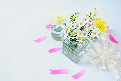 Close-up of flower vase against white background