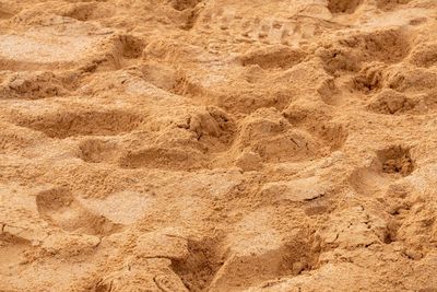 Close-up of footprints on sand