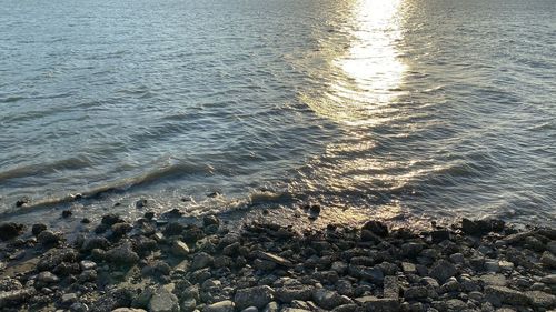 High angle view of rocks on beach