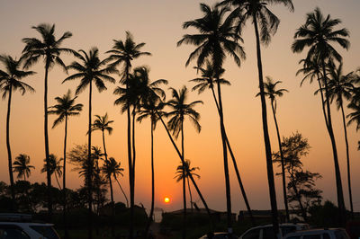 Silhouette of palm trees during sunset