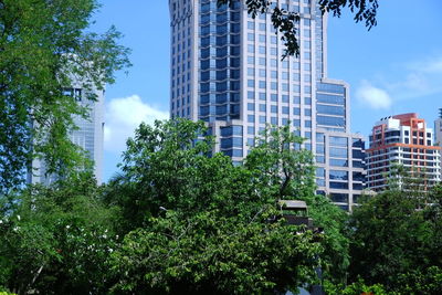 Low angle view of tree by building against sky