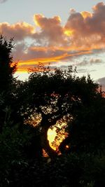 Silhouette trees against sky during sunset