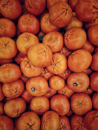 Full frame shot of oranges