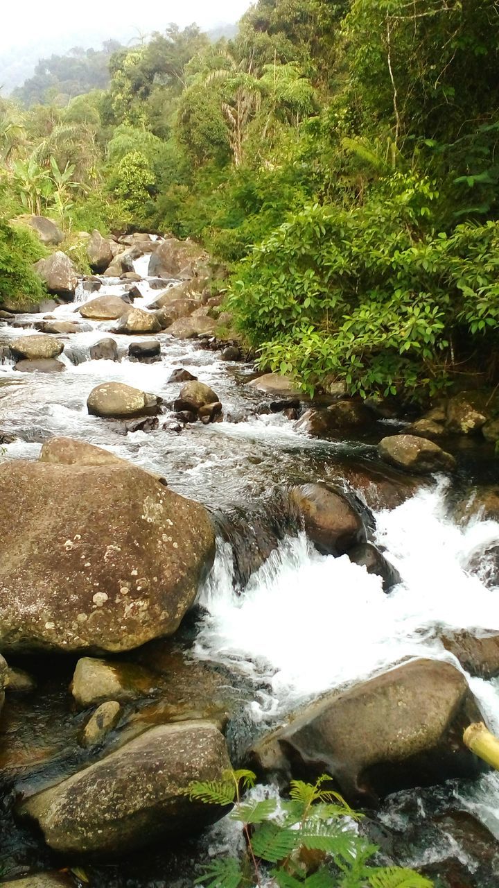 water, rock - object, stream, flowing water, scenics, beauty in nature, tranquility, flowing, nature, tranquil scene, river, tree, forest, waterfall, rock, rock formation, idyllic, stone, stone - object, green color