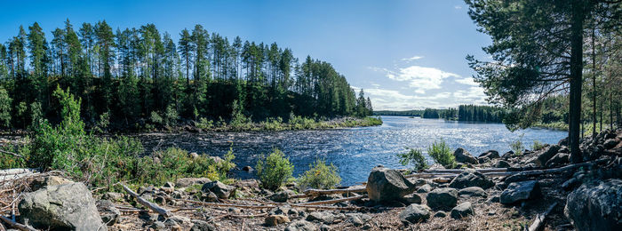 Scenic view of river in forest against sky