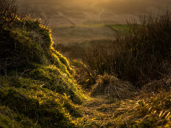 Sunset at baldstone, and gib torr. winter in the peak district national park, staffordshire, uk.