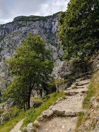 Ruta del cares,asturias