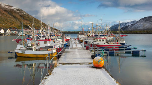 Harbor in a norwegian fishing village on mageroya island, nordland in norway