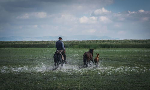 Man and horses standing on field against sky