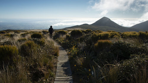 Rear view of man standing on land against sky